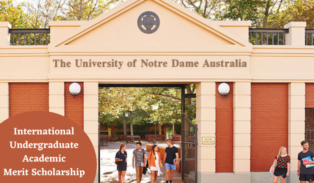 Notre Dame International Undergraduate Academic Merit Awards In ...