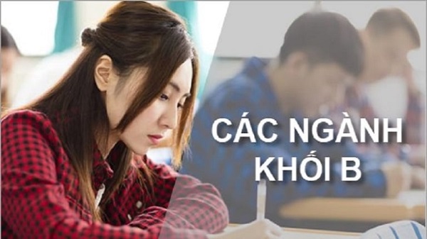 Học khối B làm nghề gì? Top 10 công việc nổi bật cho sinh viên khối B