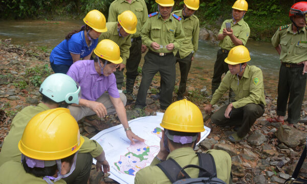 Kỹ thuật viên lâm nghiệp